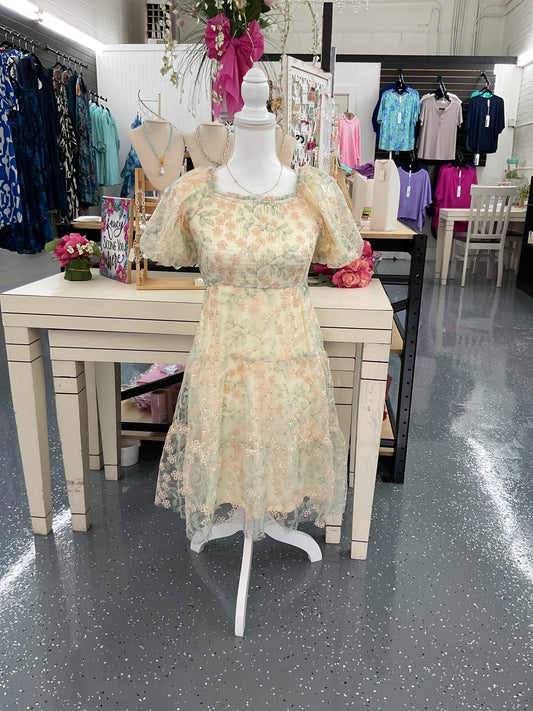 The Fairy Blossom Girls Dress