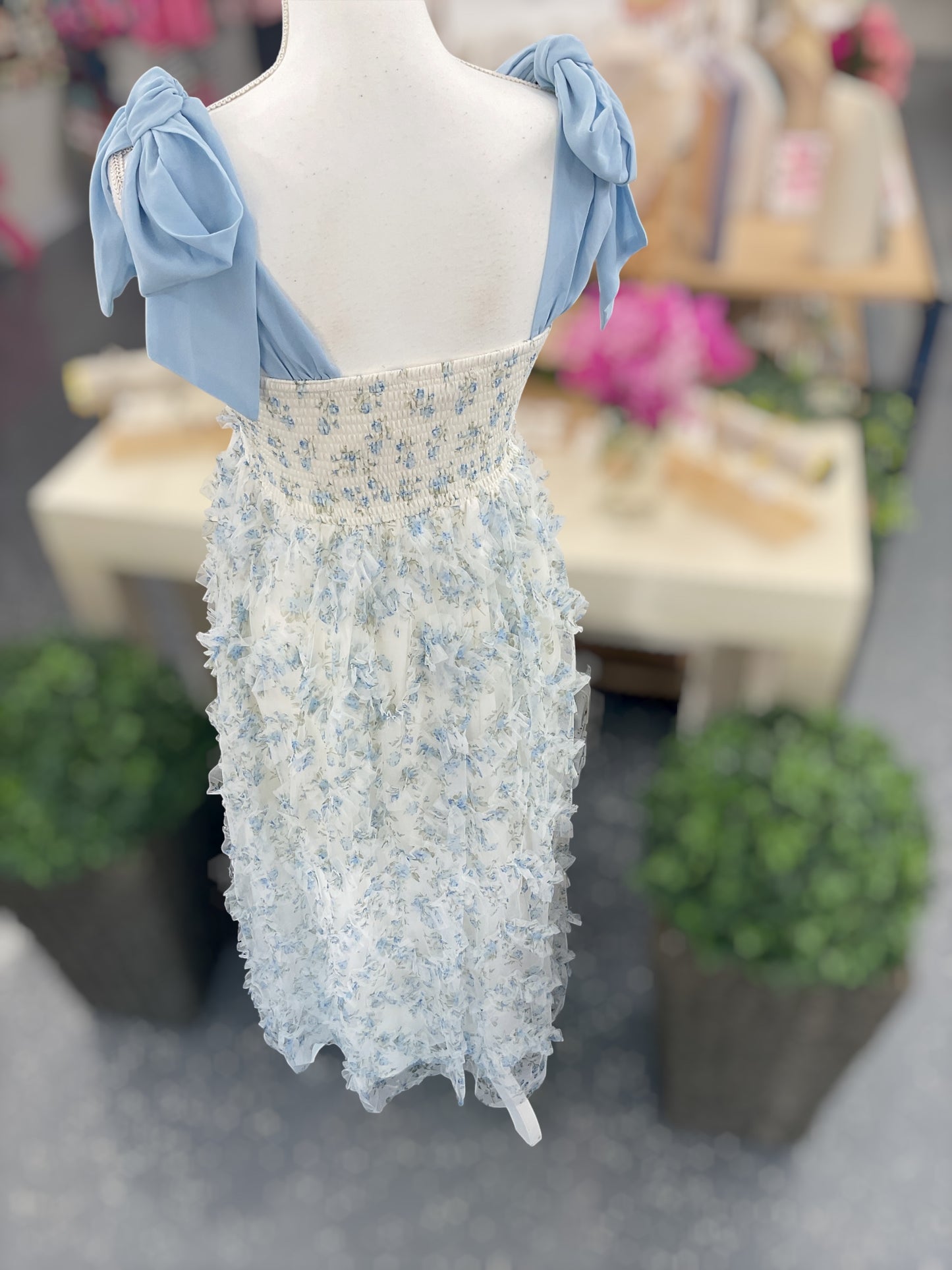 Blue Willow Garden Dress