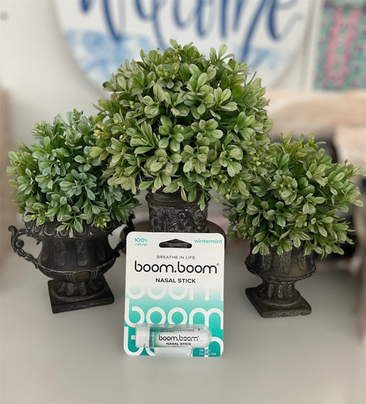 Boom Boom Breathe In Life Nasal Stick Wintermint