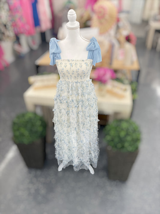 Blue Willow Garden Dress