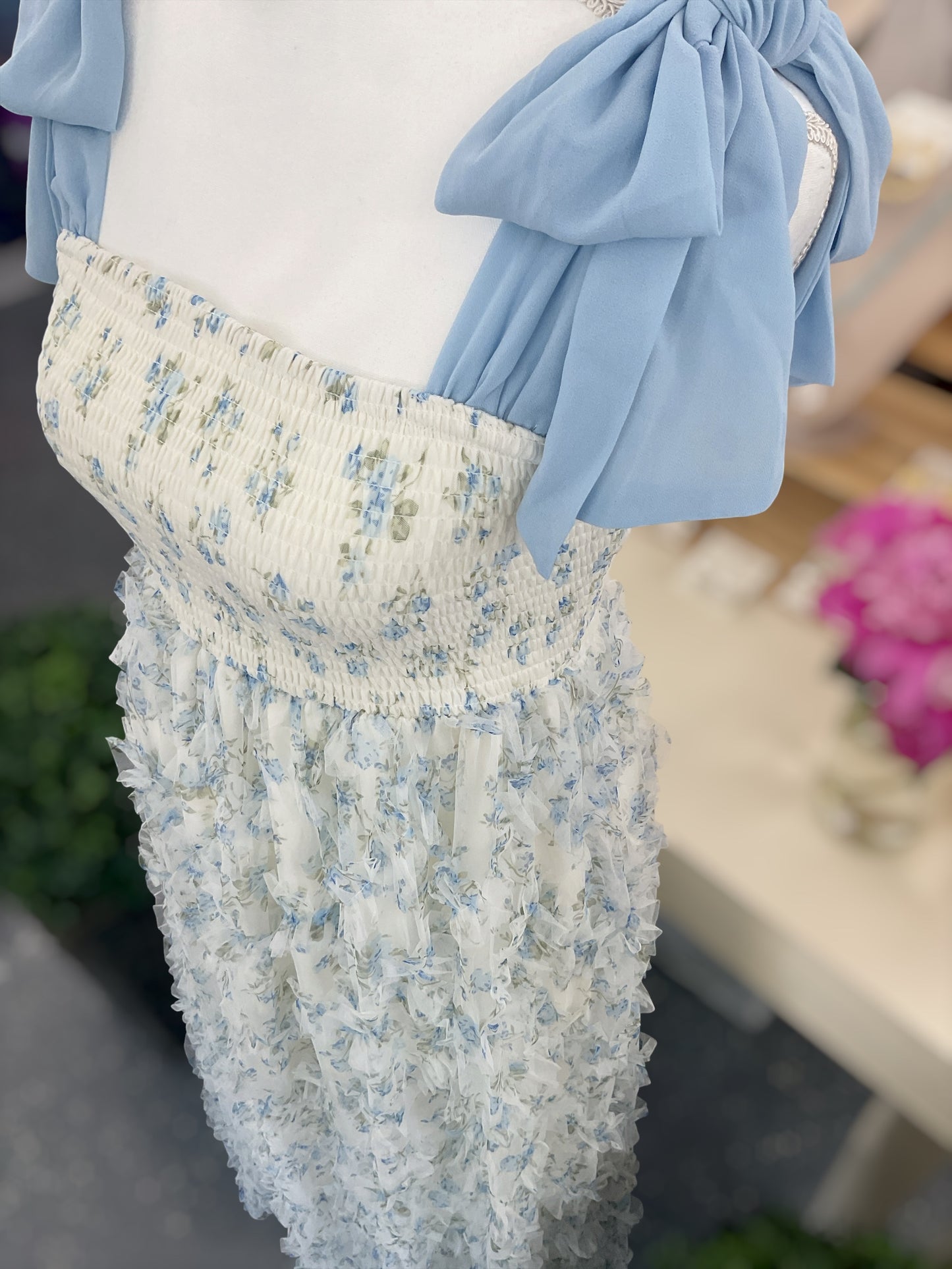 Blue Willow Garden Dress