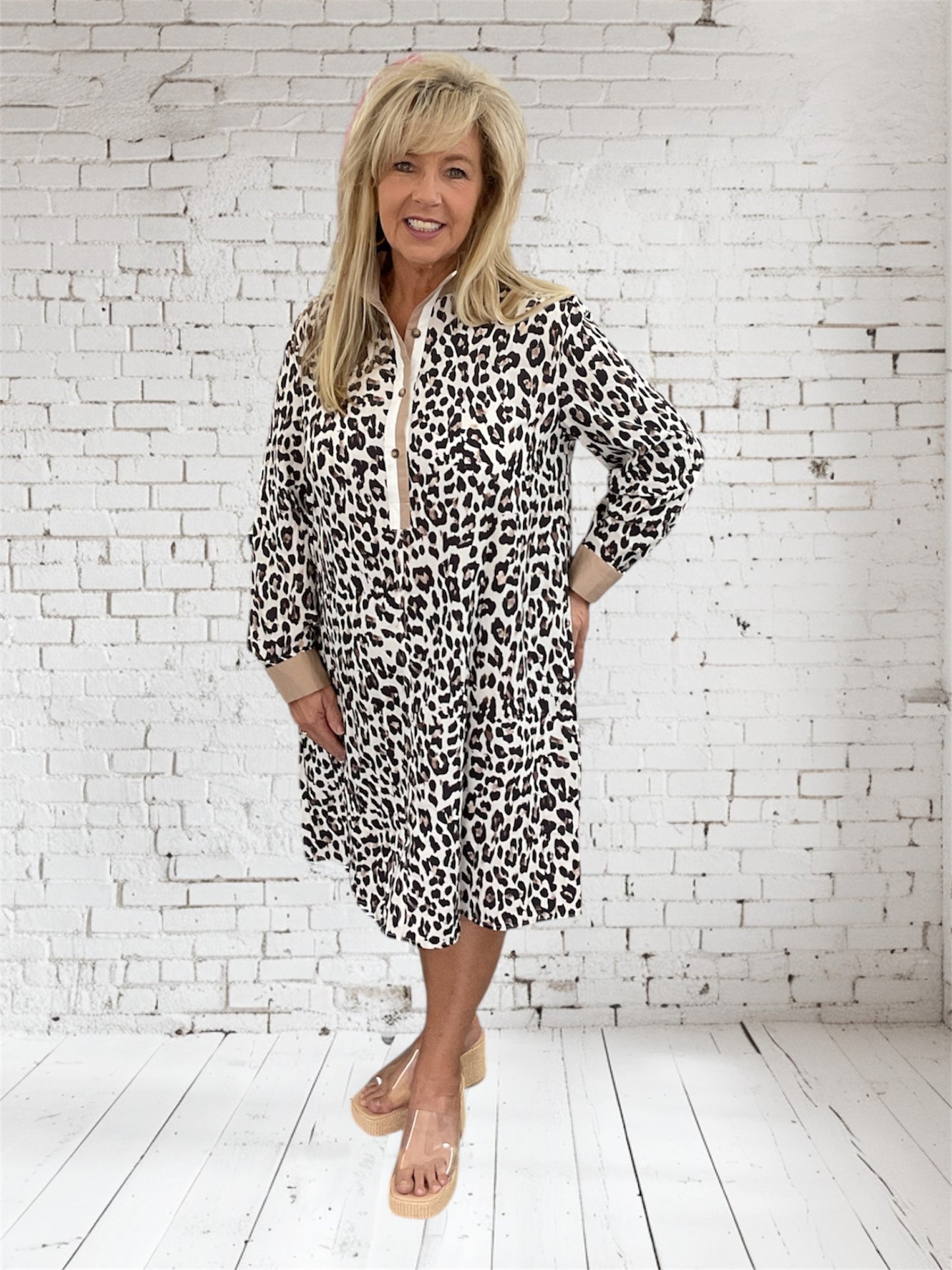 Leopard Button Striped Collar Dress